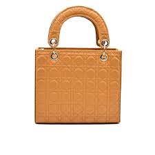 Astric Crossbody Hand Bag in Tang Women’s Small Shoulder Purse for Daily Use